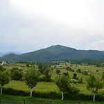 Natural House * Saraybosna
