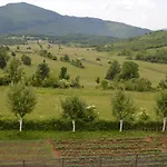 Tatil Evi Natural House *